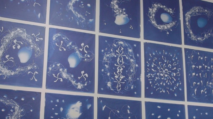 Artist Susan Aldworth’s Cyanotypes at Vane Gallery in Newcastle 1