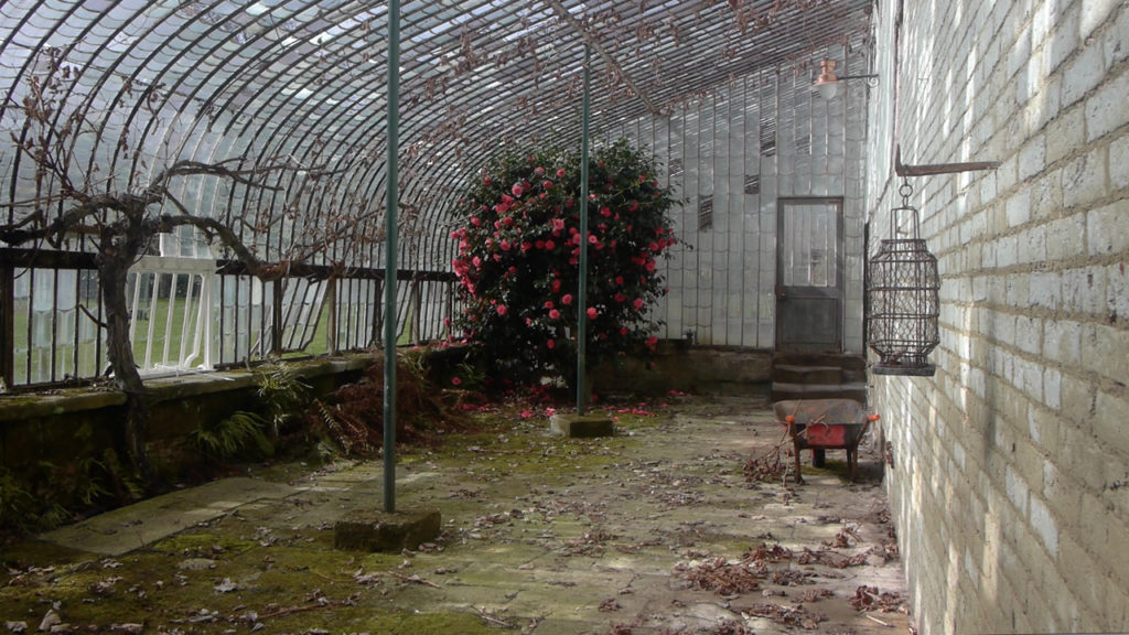 Felton Park Greenhouse 1