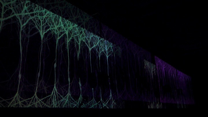 Illuminating the Self at Hatton Gallery - Artist Andrew Carnie 1