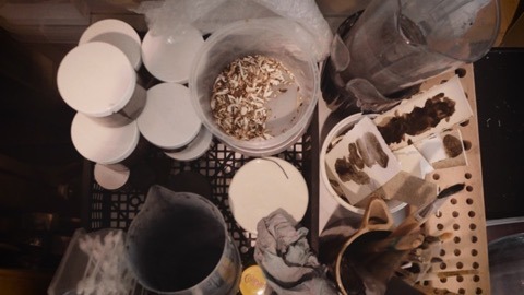 The Studio of Artist Andrew Carnie 1