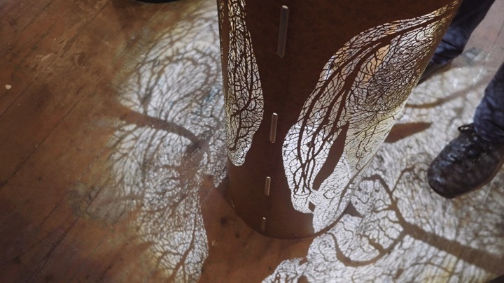 Beautiful images are emerging from footage I filmed in the studio of artist Andrew Carnie. 1