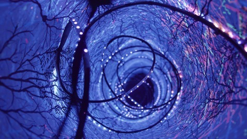 Illuminating the Self at Vane Gallery - Artist Andrew Carnie 1