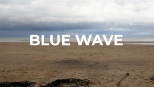 Blue Wave Performance - Vimeo thumbnail