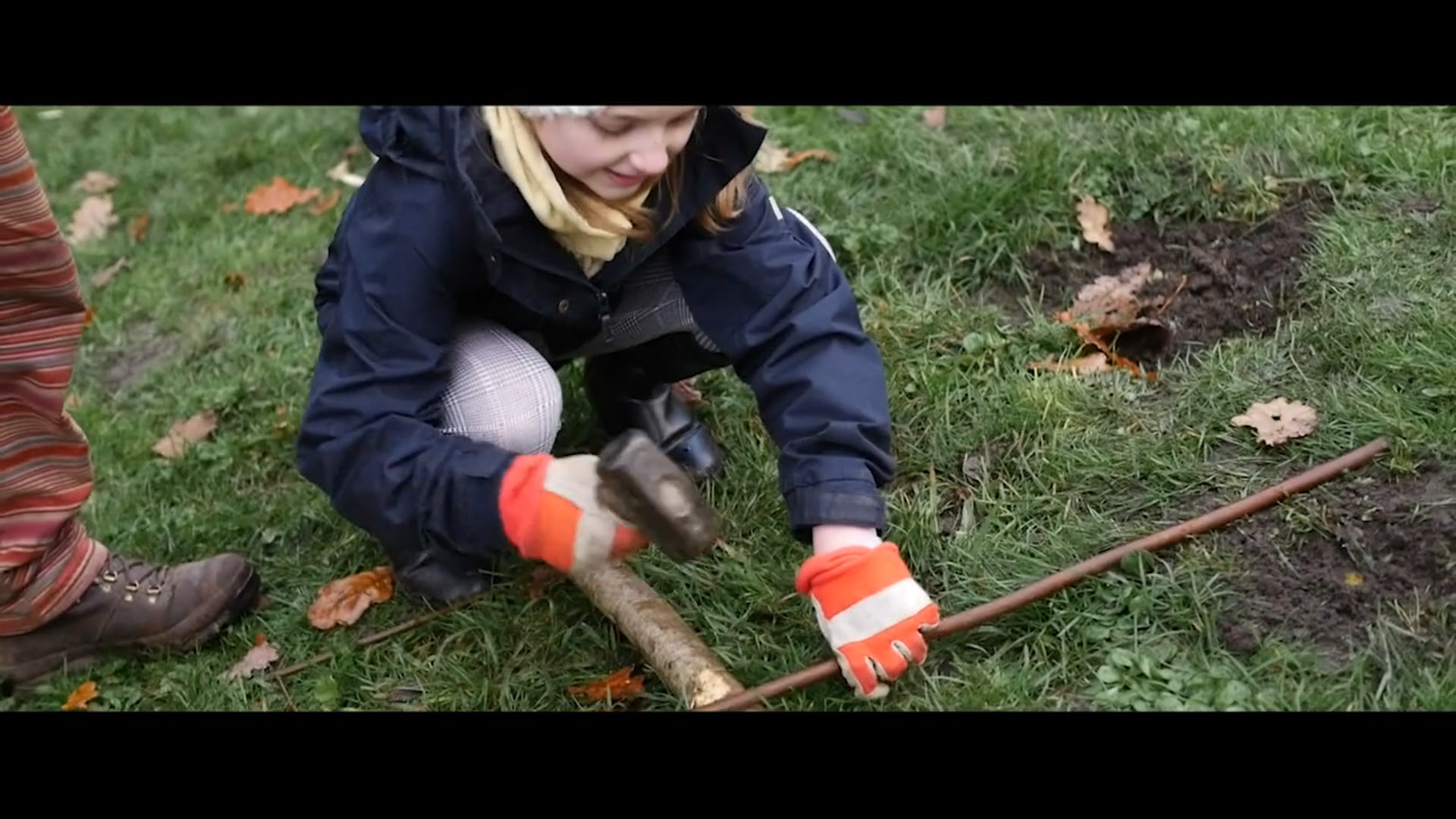 Vimeo Videos 10
